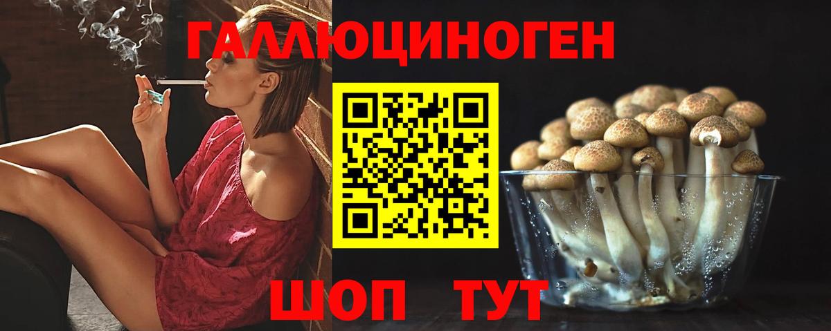 Алатырь  Галлюциногенные грибы ЛСД  Вход с VPN 